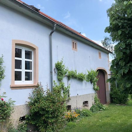 Ferienwohnung Maurer Hasborn-Dautweiler Eksteriør billede