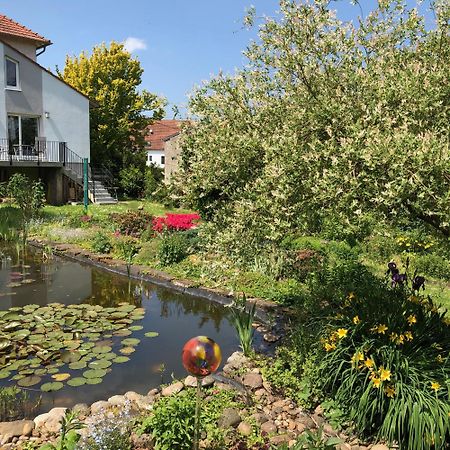 Ferienwohnung Maurer Hasborn-Dautweiler Eksteriør billede