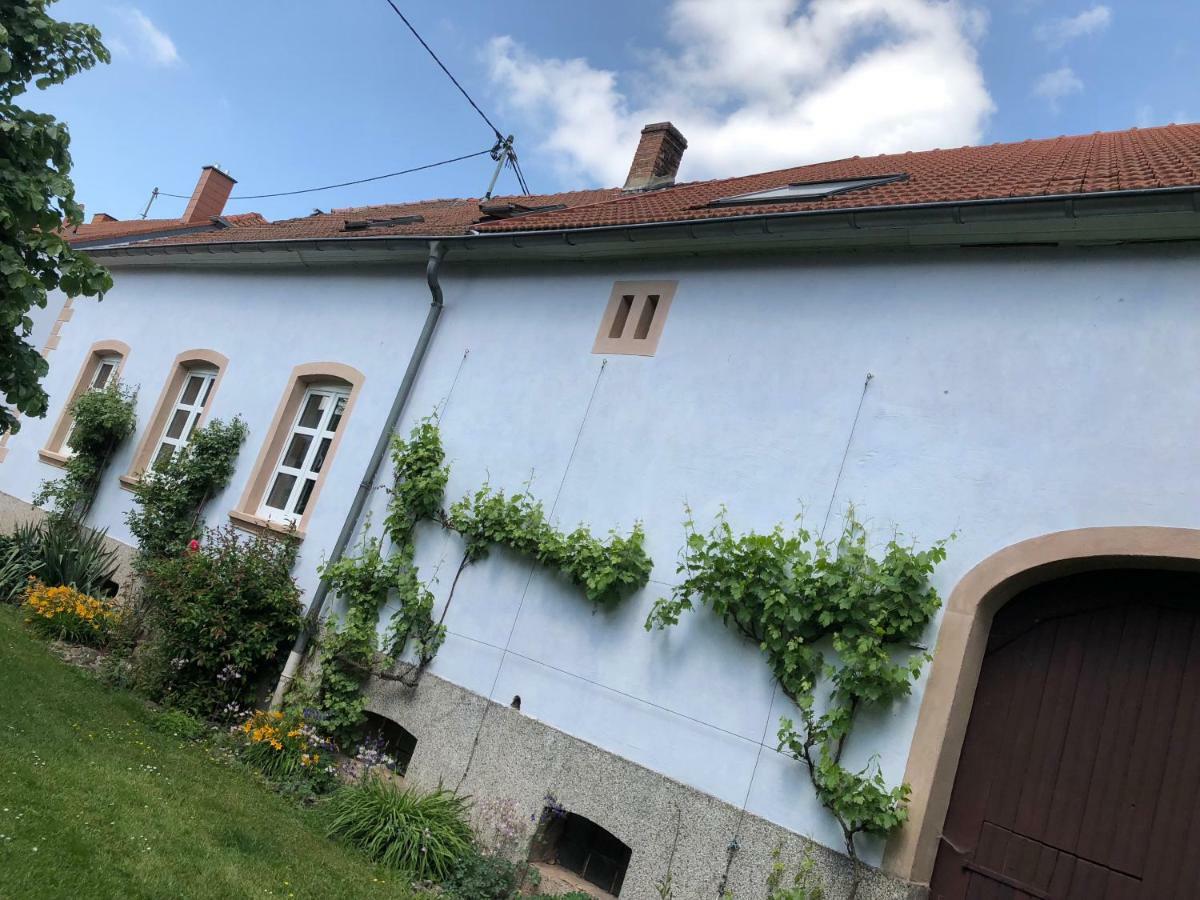 Ferienwohnung Maurer Hasborn-Dautweiler Eksteriør billede